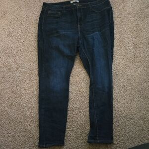 Refuge Blue Skinny Jeans with Tapered Fit